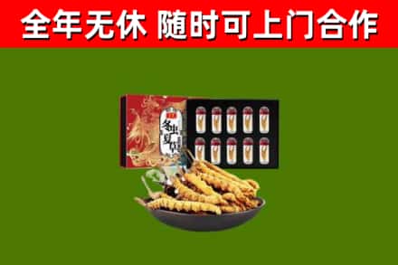 太原市烟酒回收冬虫夏草礼盒.jpg